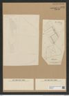 Isthmiella enervis (Ehr.) Cleve (de-Toni-Nr.: Genus 116, Species 3327) Zeichnungen Sammlung Grunow Nr. 6731 (NHMW-BOT-W0375544)